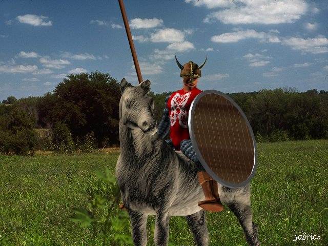 Image d'un cavalier